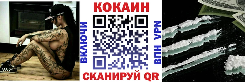 COCAIN Fish Scale сколько стоит Сосновка